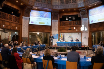 El papel de las Regiones de la Unión Europea (33)